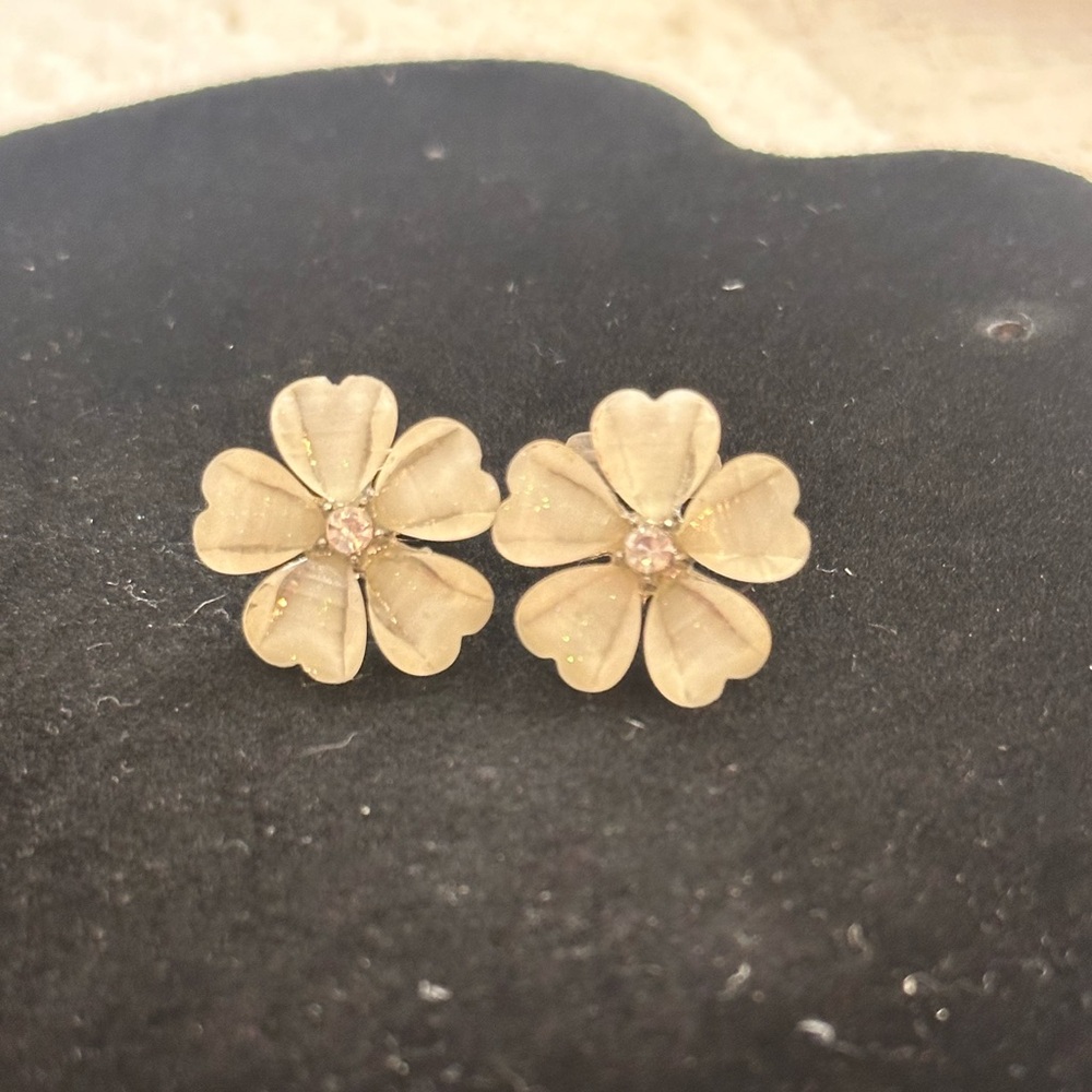 Costume clip on earrings silver and mother of pearl like